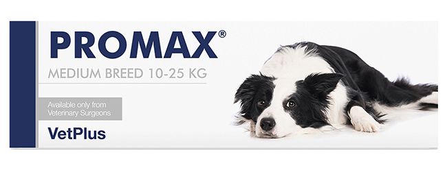 PROMAX MEDIUM BREED 18 ML - Pharmaleader