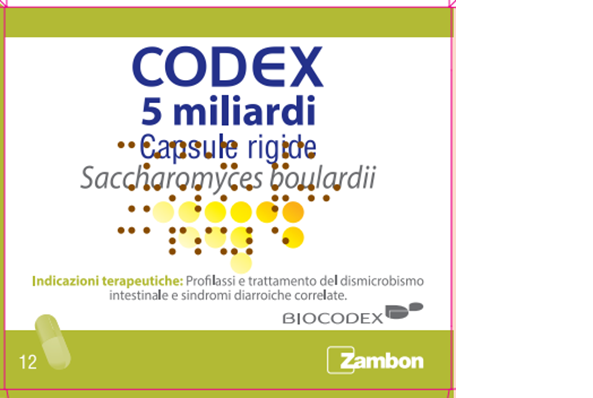 CODEX*12CPS 5MLD 250MG - Pharmaleader