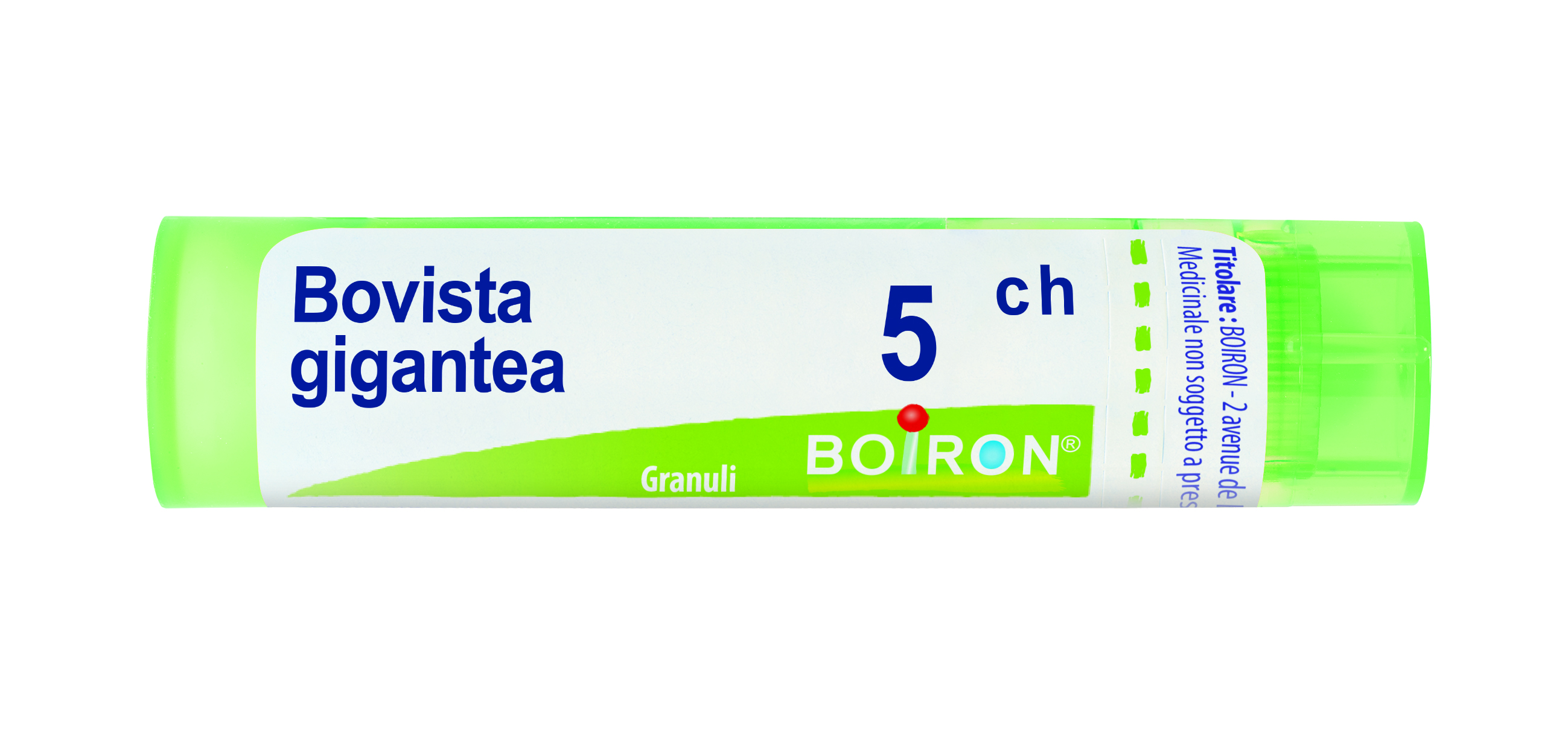 BOVISTA GIGAN BOI*5CH GR 4G - Pharmaleader