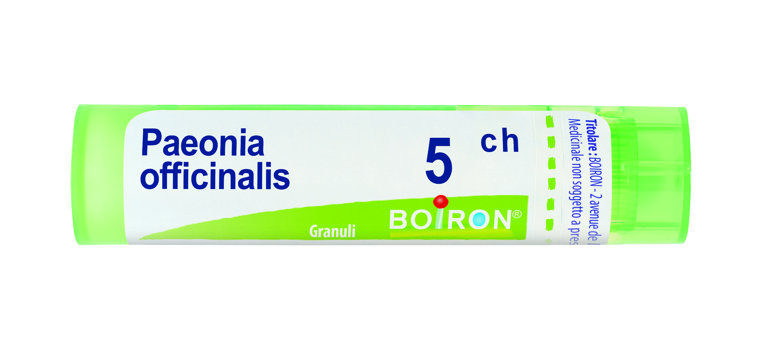 PAEONIA OFF BOI*5CH GR 4G - Pharmaleader