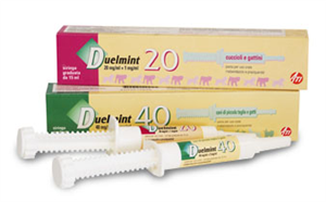 DUELMINT 20*ROSA SIR 15ML - Pharmaleader