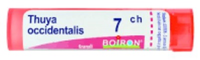 THUYA OCCIDENT 7CH GLOBULI - Pharmaleader