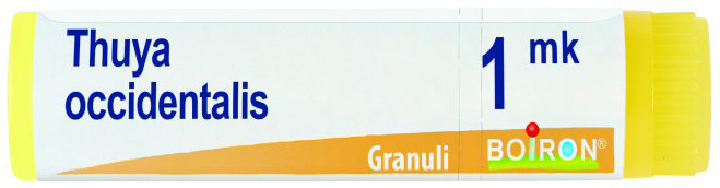 THUYA OCCIDENTALIS MK GLOBULI - Pharmaleader
