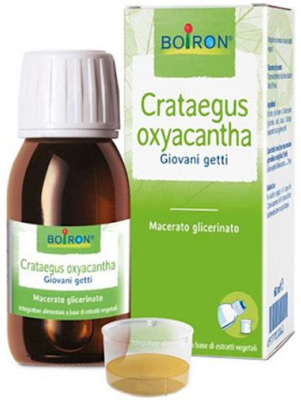 CRATAEGUS OXYACANTHA  TINTURA MADRE 60 ML - Pharmaleader