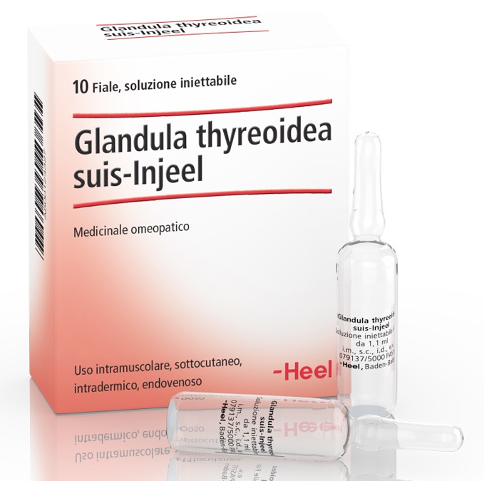 HEEL GLANDULA THYROIDEA SUIS INJEEL 10 FIALE - Pharmaleader