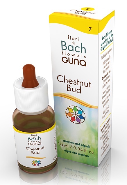CHESTNUT BUD GOCCE 10 ML - Pharmaleader
