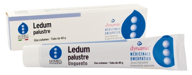LEDUM PALUSTRE HOMEOPHARM UNGUENTO 40 G - Pharmaleader