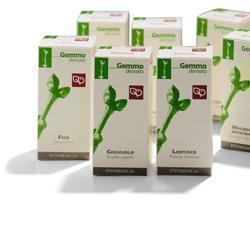 RIBES NERO MACERATO GLICERICO 100 ML - Pharmaleader