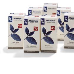 AGLIO TINTURA MADRE 100 ML - Pharmaleader