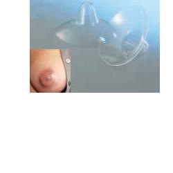 AMEDA CAPPELETTI SENO MEDIA 2 PEZZI - Pharmaleader