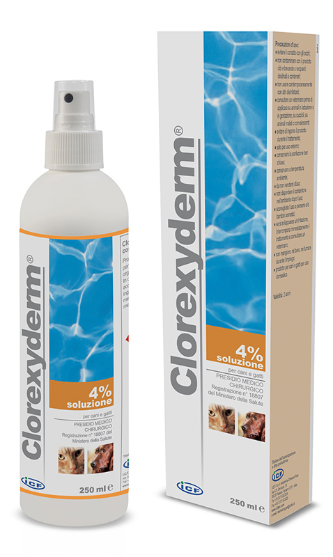 CLOREXYDERM SOLUZIONE 4% 250 ML - Pharmaleader