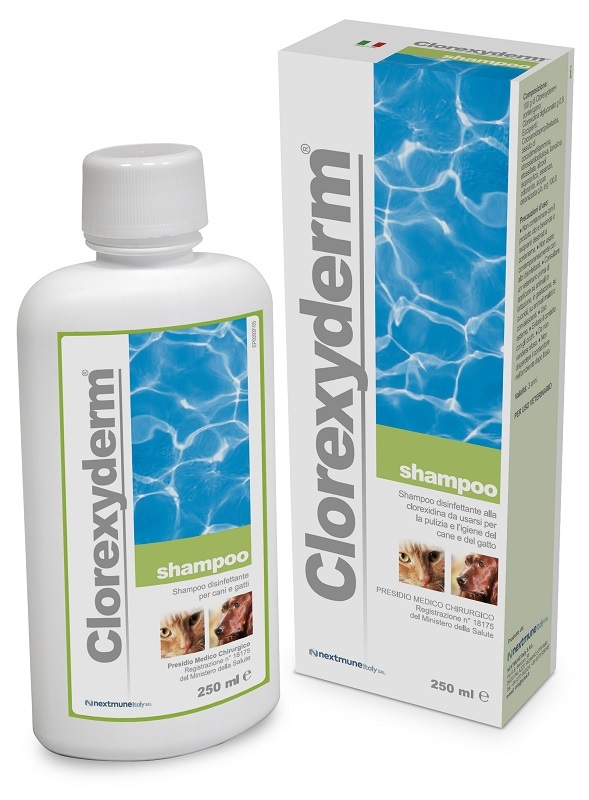 CLOREXYDERM SHAMPOO 250 ML - Pharmaleader