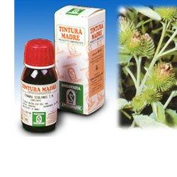 BARDANA 50ML TM - Pharmaleader