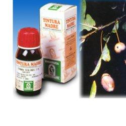 QUERCIA MARI 14 50ML TM - Pharmaleader