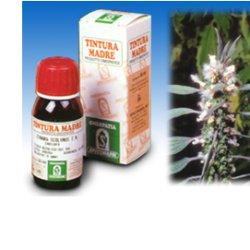 CARDIACA 16 50ML TM - Pharmaleader