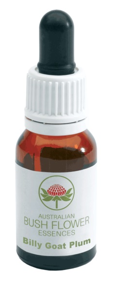 BILLY GOAT PLUM GOCCE 15 ML - Pharmaleader