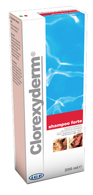 CLOREXYDERM SHAMPOO FORTE 200 ML - Pharmaleader
