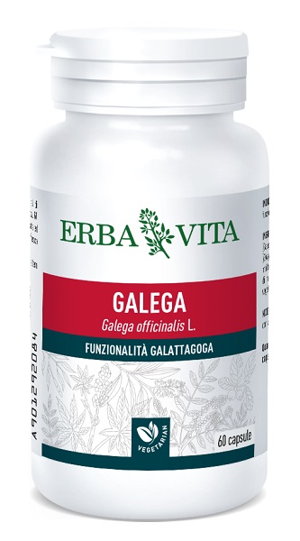 GALEGA 60 CAPSULE - Pharmaleader