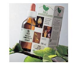 ROSA CANINA MACERATO GLICERICO 100 ML - Pharmaleader