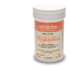 PHYLLANTHUS DAB 007 60 TAVOLETTE - Pharmaleader