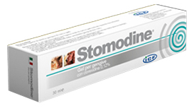 STOMODINE GEL GENGIVALE CANI 30 ML - Pharmaleader