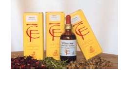 RIBES GEMME MACERATO GLICERICO 100 ML - Pharmaleader