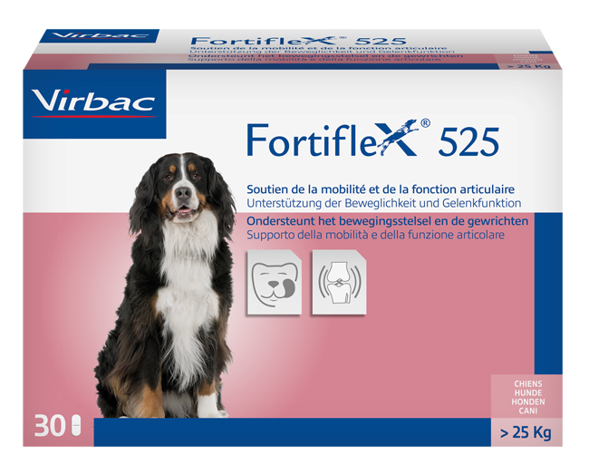 FORTIFLEX 525 MG 30 COMPRESSE APPETIBILI - Pharmaleader