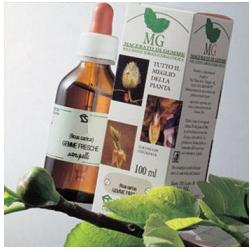 BETULLA MACERATO GLICERICO 100 ML - Pharmaleader