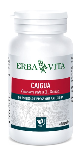 CAIGUA 60 CAPSULE 400 MG - Pharmaleader