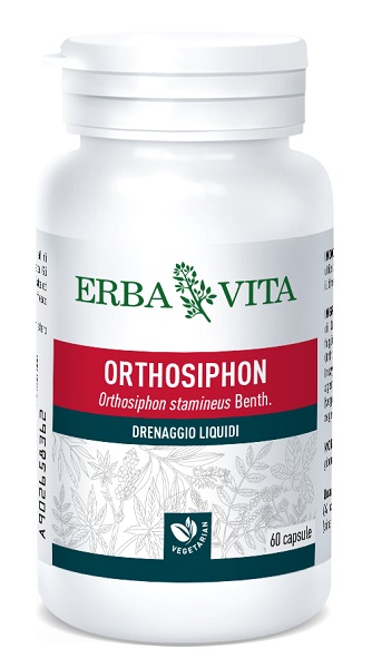ORTOSIPHON 60 CAPSULE 400 MG - Pharmaleader
