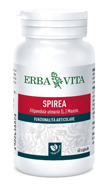 SPIREA ULMARIA 60 CAPSULE 400 MG - Pharmaleader