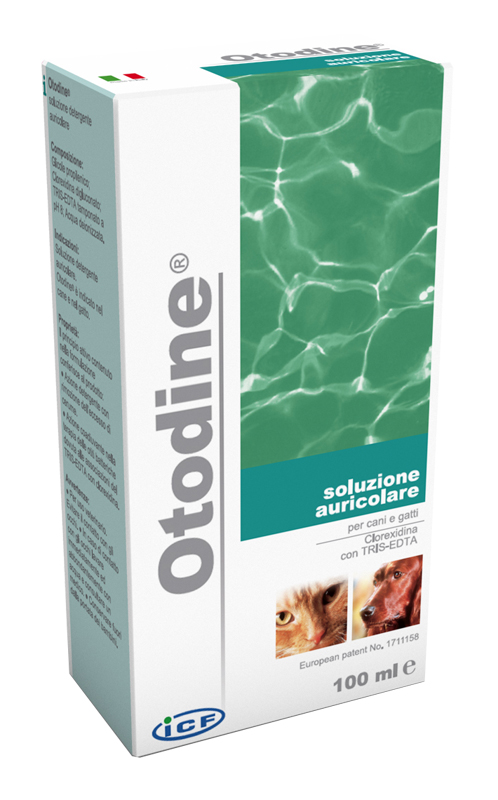 OTODINE DETERGENTE LIQUIDO 100 ML - Pharmaleader