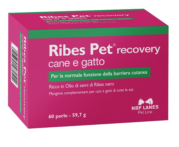 RIBES PET RECOVERY BLISTER 60 PERLE - Pharmaleader