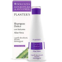 PLANTER'S SHAMPOO DOLCE ALL'ALOE VERA 200 ML - Pharmaleader