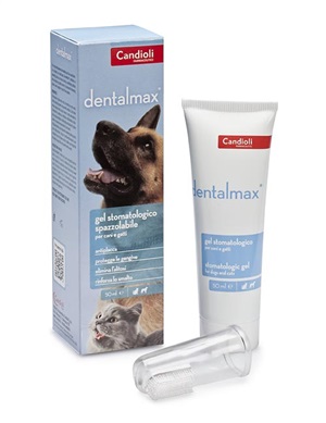 DENTALMAX GEL STOMATOLOGICO 50 ML - Pharmaleader