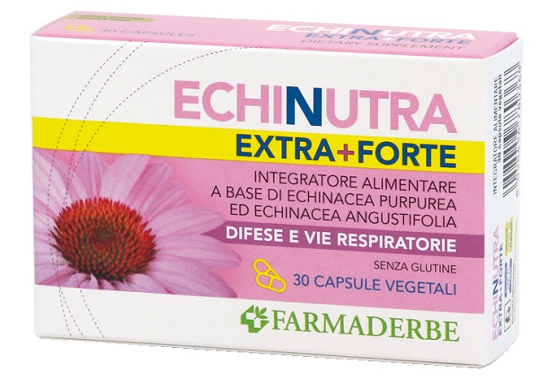 ECHINUTRA EXTRA FORTE 30 CAPSULE - Pharmaleader