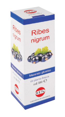 RIBES NIGRUM MACERATO GLICERICO 100 ML GOCCE - Pharmaleader