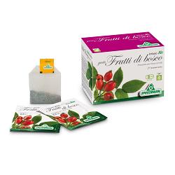 INFUSO BIO FRUTTA FRUTTI DI BOSCO 20 FILTRI - Pharmaleader