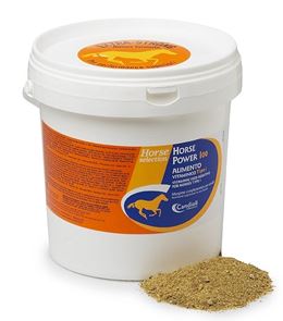 HORSE POWER 100 4KG - Pharmaleader