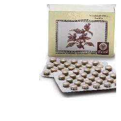 CIMICIFUGA 50 TAVOLETTE 500 MG - Pharmaleader