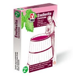 ENOLIEVITO CERVISIAE 100 G - Pharmaleader