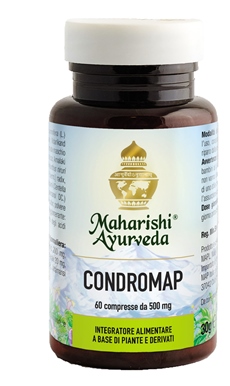 CONDROMAP 60 COMPRESSE - Pharmaleader