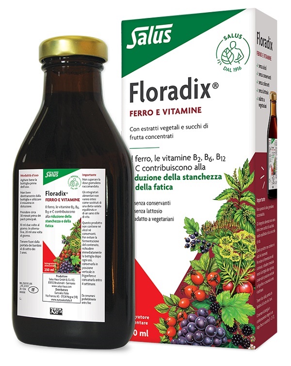 FLORADIX FERRO E VITAMINE 250 ML - Pharmaleader