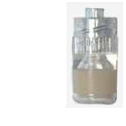 TAPPO STERILE PERFORATO LUER - Pharmaleader