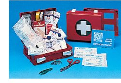 CASSETTA PRONTO SOCCORSO FAMILY PER CAMPEGGIO, BRICOLAGE, CASA E UFFICIO. CONTENITORE IN ABS ANTIURTO CON SUPPORTO PER IL FISSAGGIO ALLA PARETE - Pharmaleader