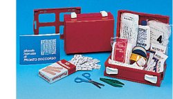 CASSETTA PRONTO SOCCORSO MINIKIT PER CASA, UFFICIO E TEMPO LIBERO. CONTENITORE IN ABS ANTIURTO E CON SUPPORTO PER IL FISSAGGIO ALLA PARETE - Pharmaleader