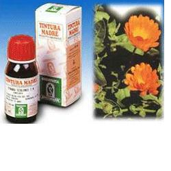 CALENDULA OFF 5 50ML TM - Pharmaleader