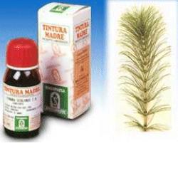 EQUISETO 12 50ML TM - Pharmaleader