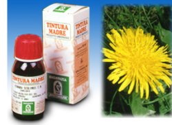 TARASSACO 28 50ML TM - Pharmaleader