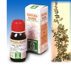 UVA URSINA 30 50ML TM - Pharmaleader